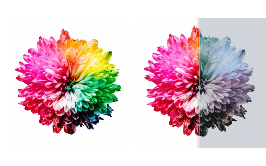 Person using ColorLenz
