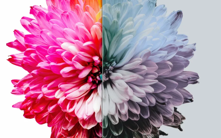 Person using ColorLenz